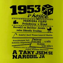 1953 v kostce