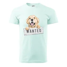 Zlatý retriever - štěně wanted