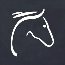 Kůň - hlava silueta