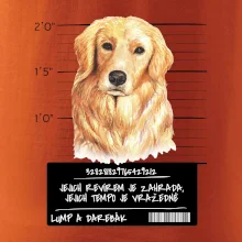 Lump a darebák zlatý retrívr