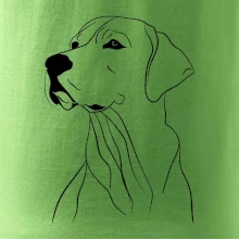 Labrador černá kresba