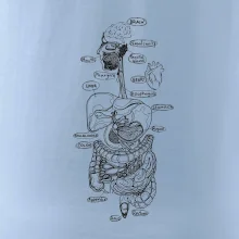 Skica lidských orgánů