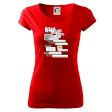 Chatovací slovník moderního seniora (Běžící češtinář)