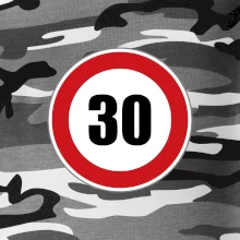 Dopravní značka - omezení rychlosti 30 Dopravní značka - omezení rychlosti 30