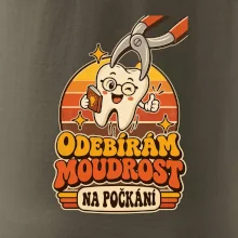 Odebírám moudrost na počkání