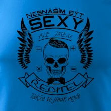 Nesnáším být sexy - ředitel