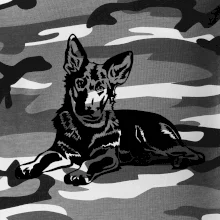 Německý ovčák - štěně