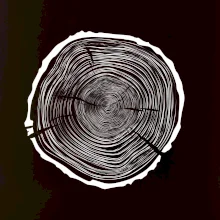 Letokruhy 75 bez věku