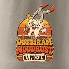 Odebírám moudrost na počkání