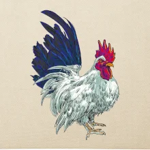 Kohout kreslený bílý