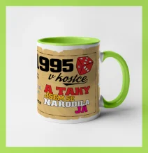 1995 v kostce