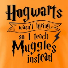 Harry - Hogwarts wasn’t hiring, so I teach Muggles instead