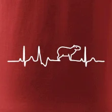 Ekg Capybara