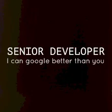 Senior developer google better than you