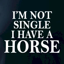 I have a horse - Nepotřebuji přítele