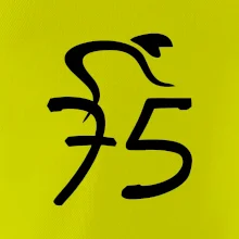 Cyklista slaví pětasedmdesátku (75)