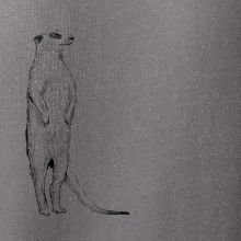 Surikata černá kresba