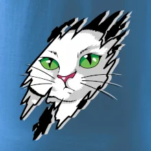 Kočka v roztrženém triku