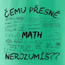 Čemu přesně nerozumíš? Matematika Čemu přesně nerozumíš? Matematika