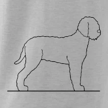 Lagotto romagnolo stojící Lagotto romagnolo stojící