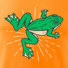 Žába zelená kreslená