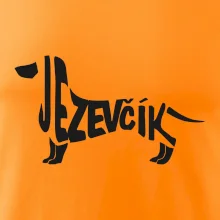 Jezevčík - CZ