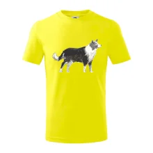 Border kolie kreslená