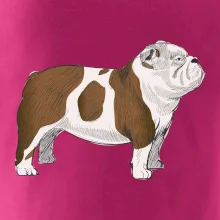 Vintage English bulldog