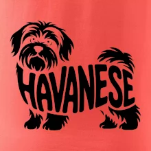Havanese nápis v těle