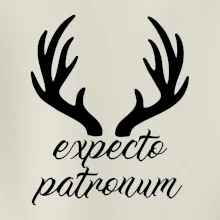Harry - Expecto patronum