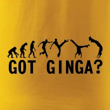 Capoeira - Got Ginga Capoeira - Got Ginga
