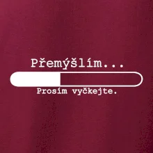 Přemýšlím