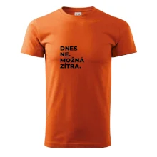 DNES NE. MOŽNÁ ZÍTRA.
