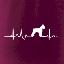 Ekg knírač tělo