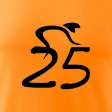 Cyklista slaví pětadvacítku (25)