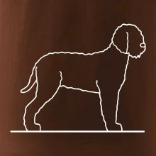 Lagotto romagnolo stojící