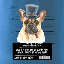 Lump a darebák francouzský buldoček