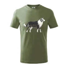 Border kolie kreslená