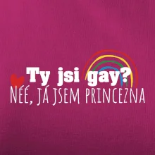 Gay princezna