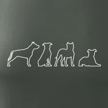 Americký stafordširský teriér v různých pozicích