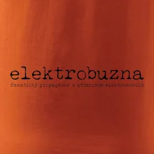 Čeština 2.0 - elektrobuzna