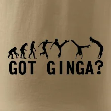 Capoeira - Got Ginga