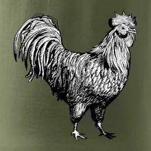 Kohout kreslený černobílý