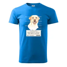 Lump a darebák labrador