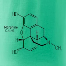 Molekulární struktura Morfin