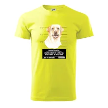 Lump a darebák labrador