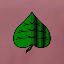 Prší - Zelený - prso