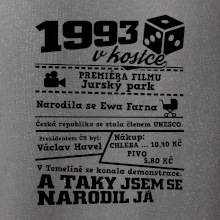 1993 v kostce