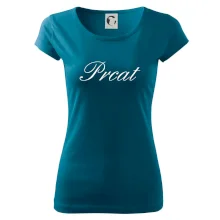 Prcat (souložit vulgárně) Prcat (souložit vulgárně)