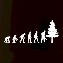 Evoluce dřevorubec - pila a strom